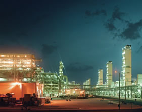 ���I���t�����w